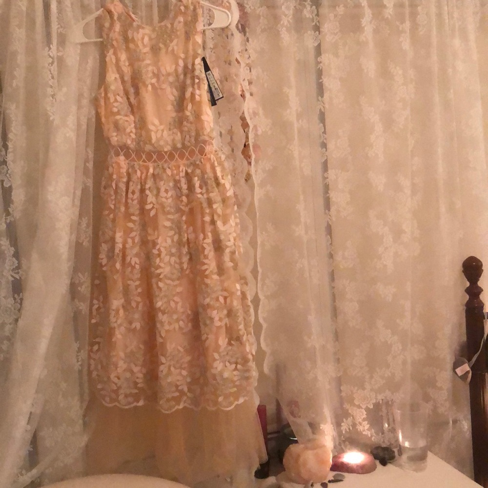 Elegant peach lace tool lined dress